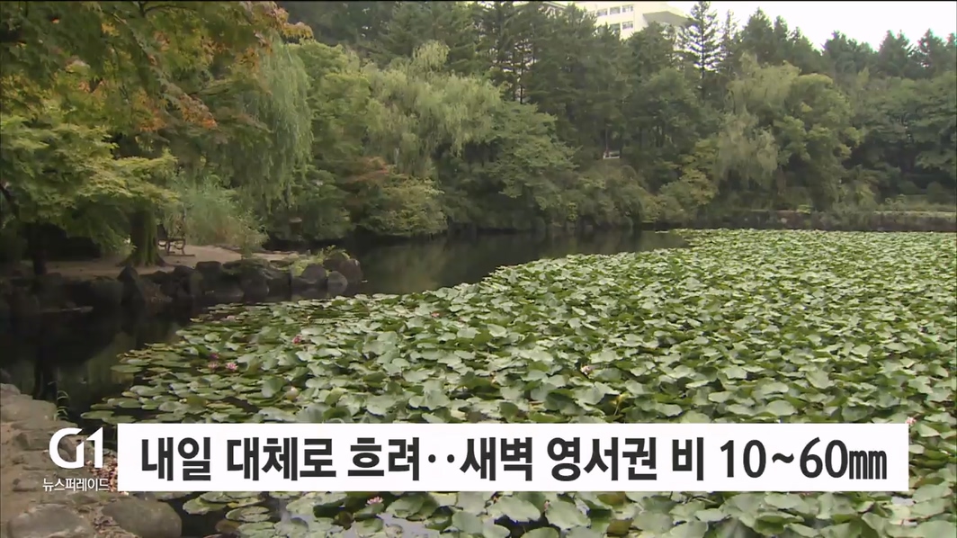 내일 대체로 흐려..새벽 영서권 비 10~60mm