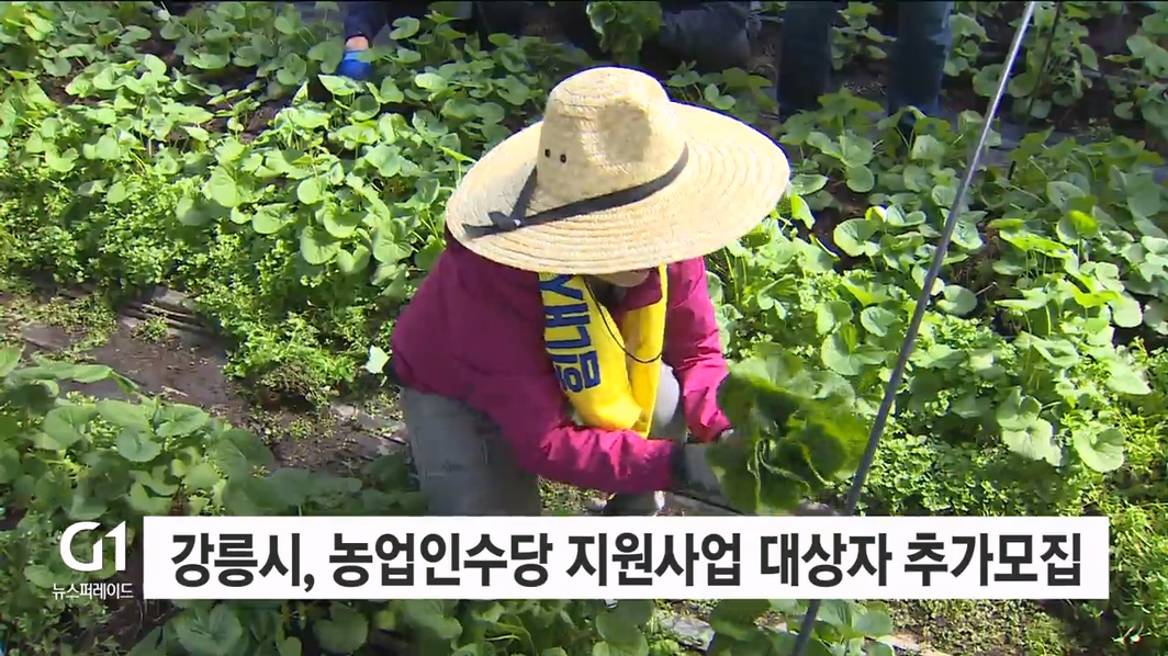 강릉시, 농업인수당 지원사업 대상자 추가모집