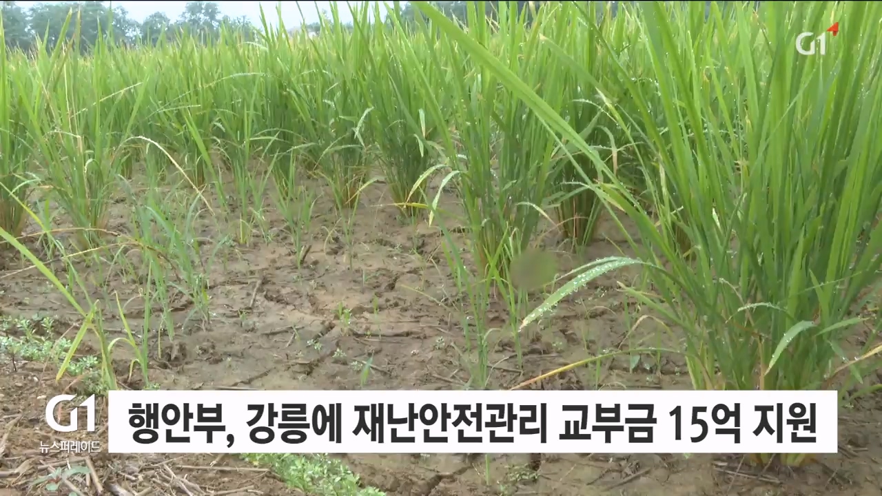 행안부, 강릉에 재난안전관리 교부금 15억 원 추가 지원