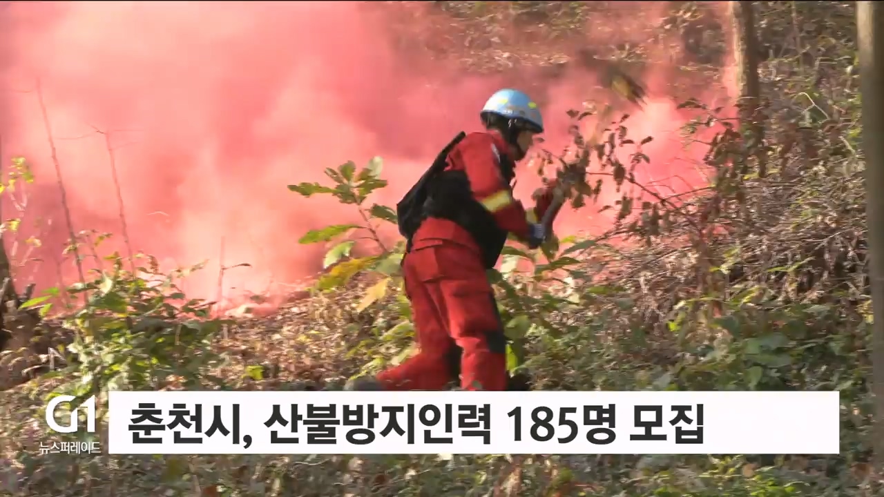 춘천시, 산불방지인력 185명 모집