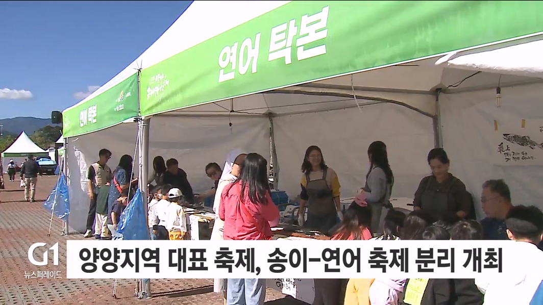 양양지역 대표 축제, 송이-연어 축제 분리 개최