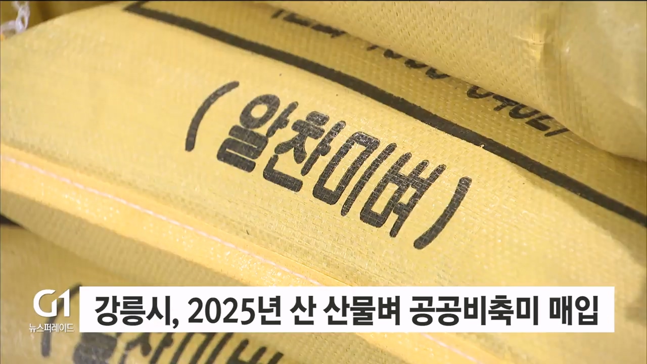 강릉시, 2025년 산 산물벼 공공비축미 매입