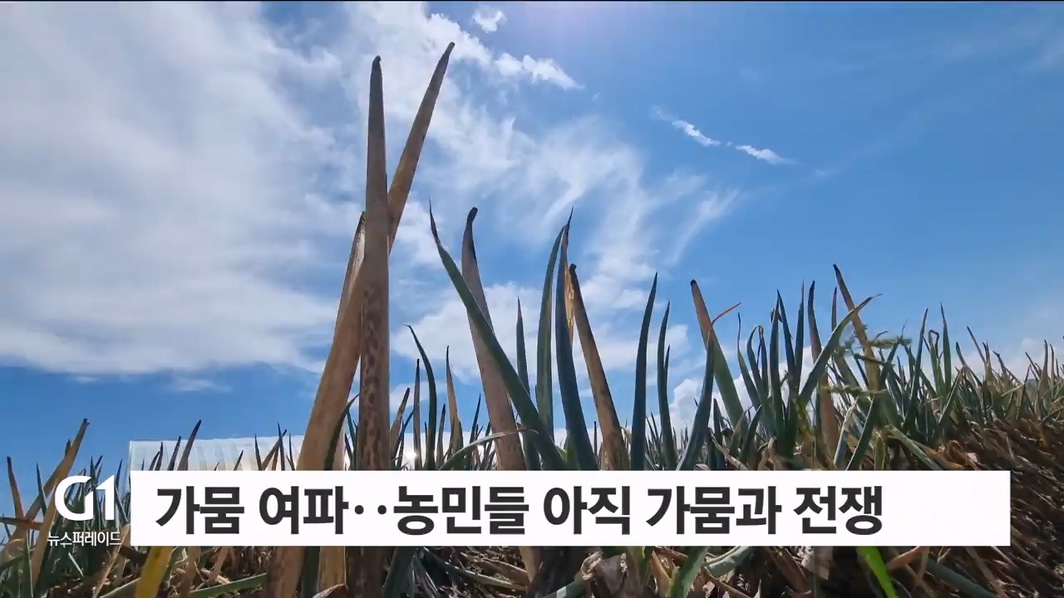 강릉 일상으로.."농민들은 아직" 