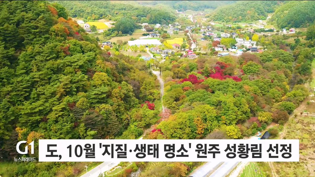도, 10월 '지질·생태 명소' 원주 성황림 선정