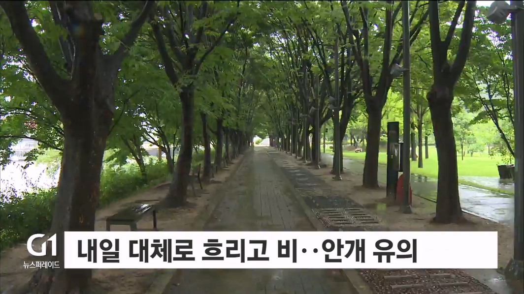 내일 대체로 흐리고 비..안개 유의