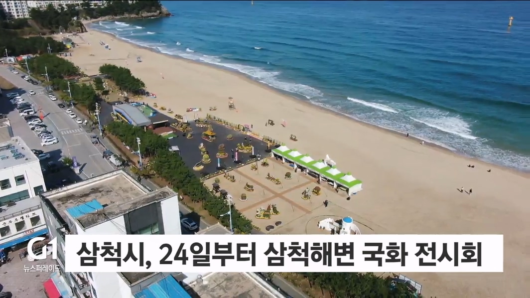 삼척시, 24일부터 삼척해변 국화 전시회