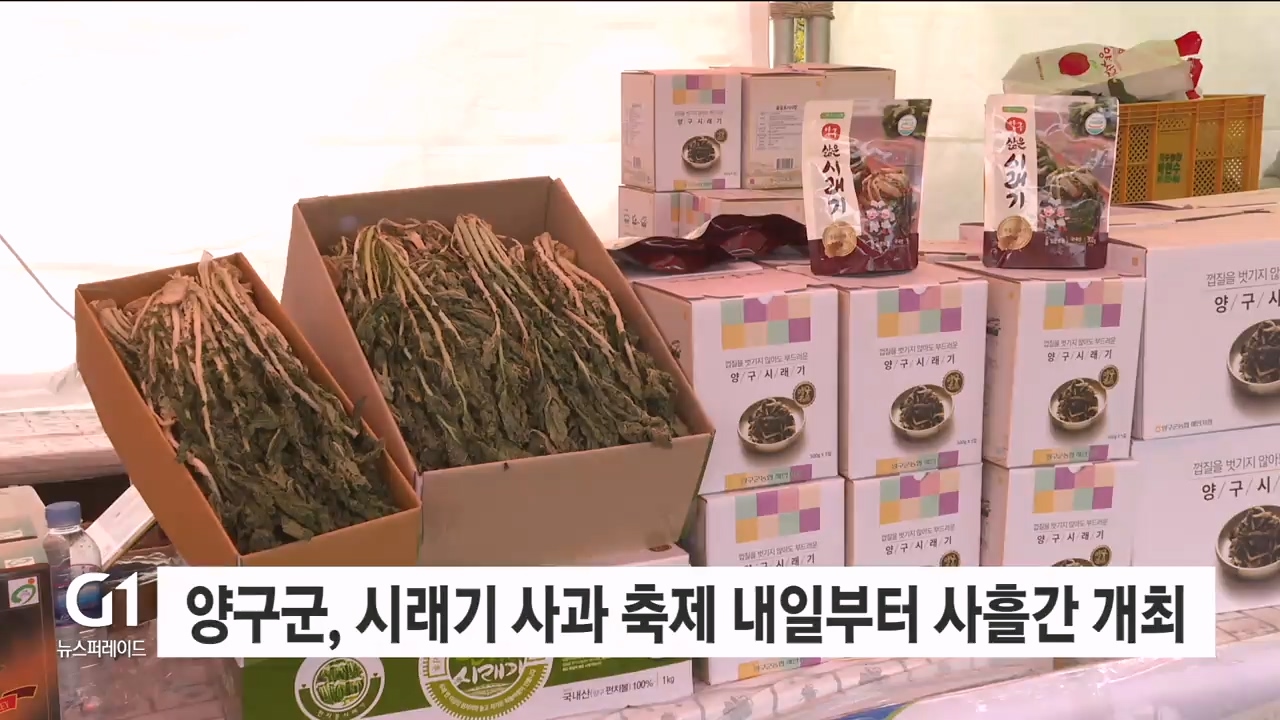 양구군, 시래기사과축제 내일부터 사흘간 개최