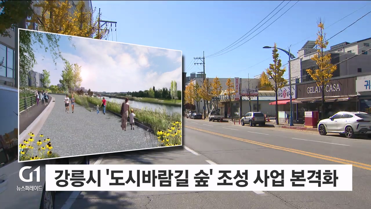 강릉시, '도시바람길 숲' 조성 사업 선정
