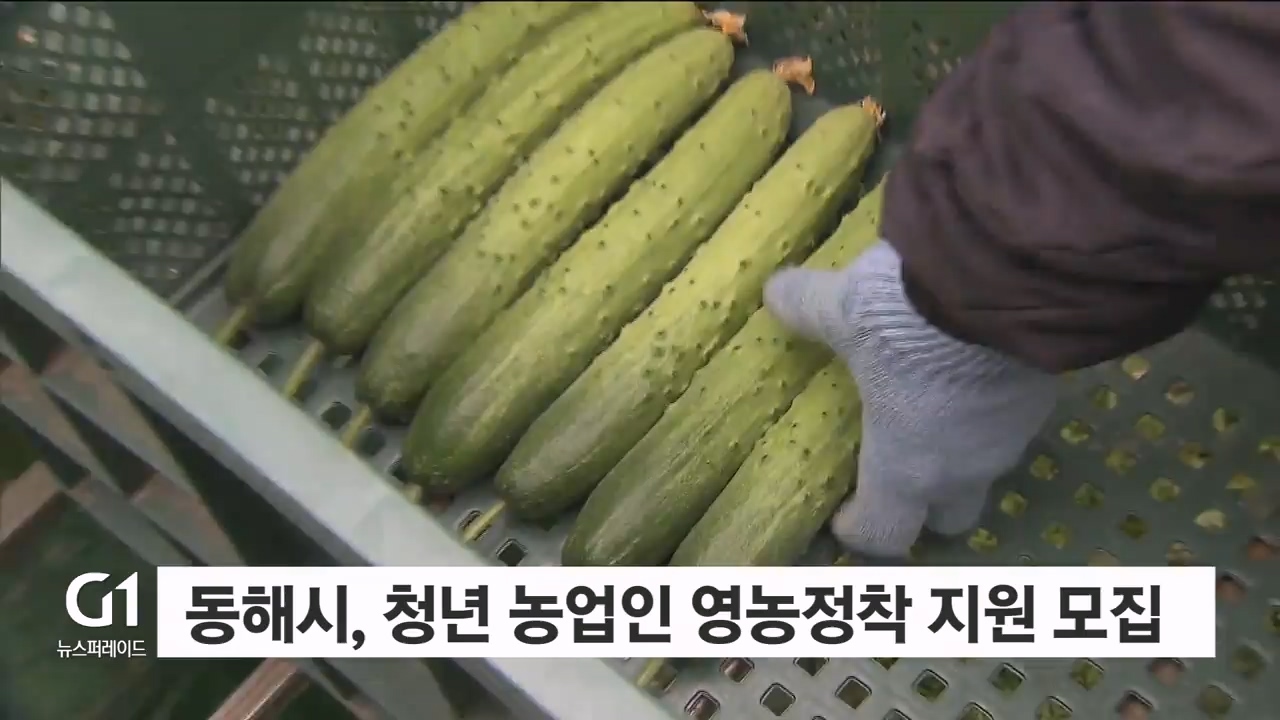 동해시, 청년농업인 영농정착 지원사업 대상자 모집