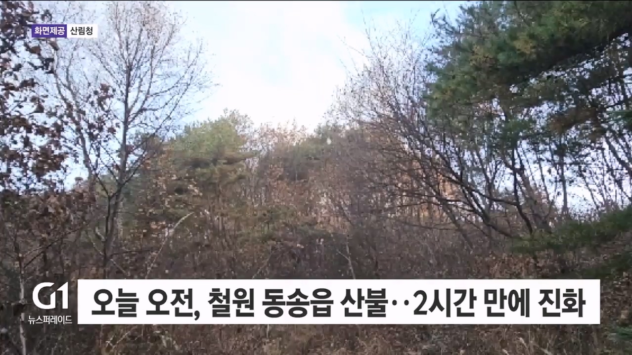 오늘 오전 철원 동송읍 산불..2시간 만에 진화