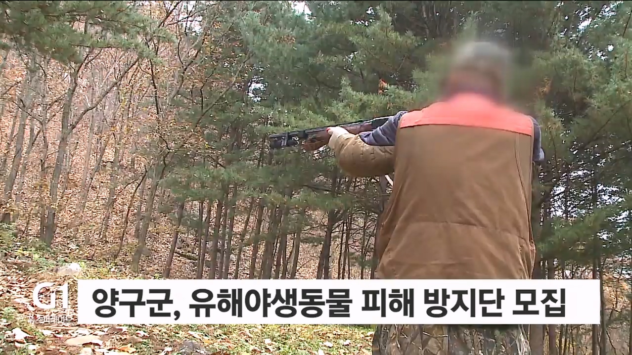 양구군, 유해야생동물 피해방지단 모집