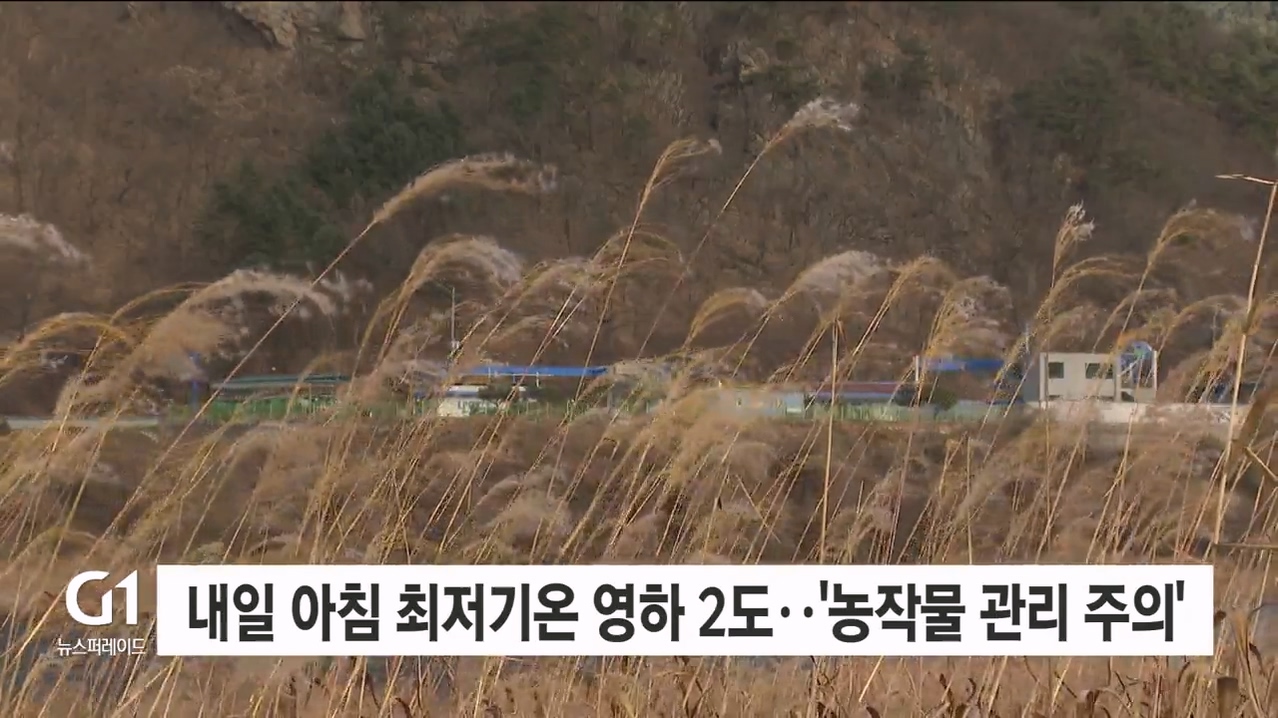 내일 아침 최저기온 영하 2도..'농작물 관리 주의'