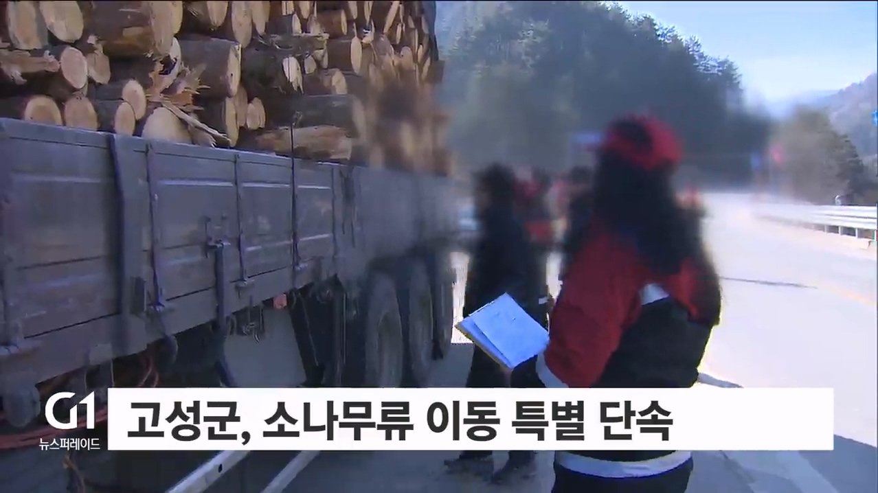 고성군, 소나무류 이동 특별 단속
