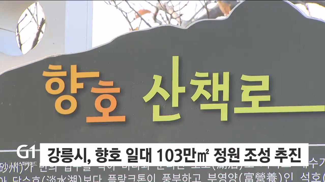 강릉 주문진 향호 정원 조성 본격화 