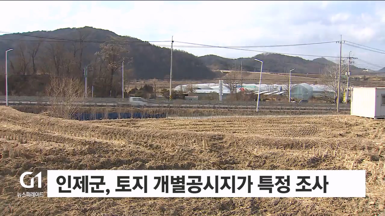 인제군, 토지 개별공시지가 특정 조사