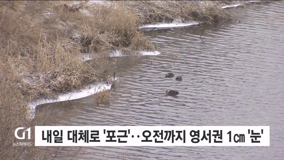 내일 대체로 '포근'..오전까지 영서권 1cm '눈'