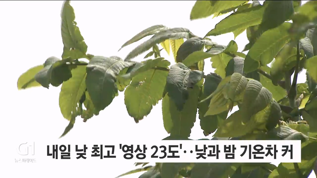 내일 낮 최고 ‘영상 23도’..낮과 밤 기온차 커