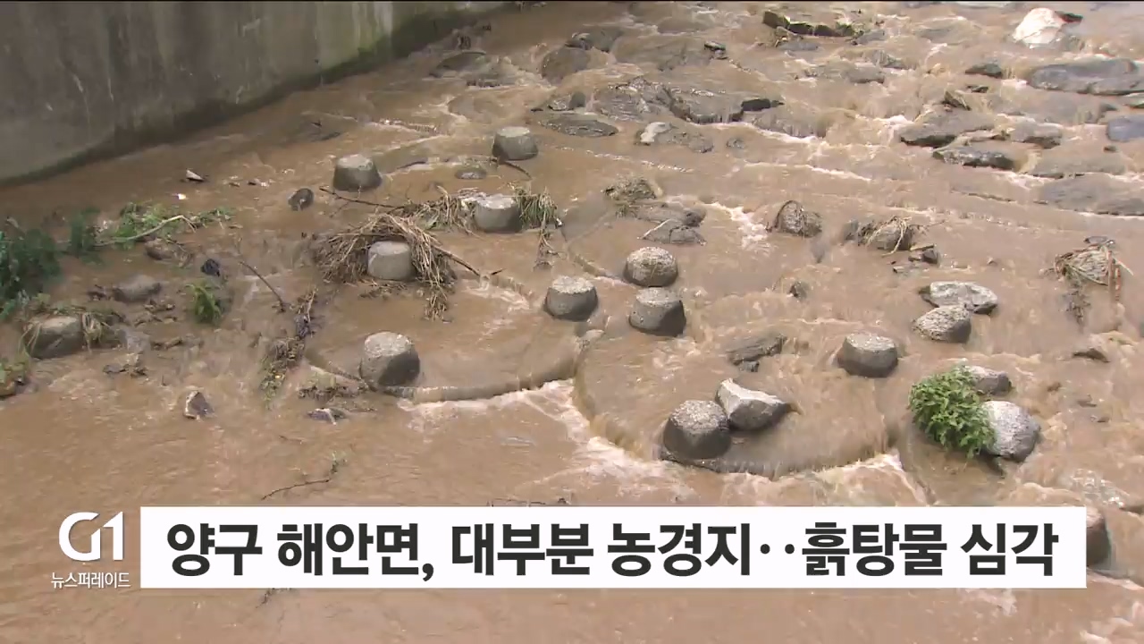 수십년 흙탕물..새로운 대책 골몰 