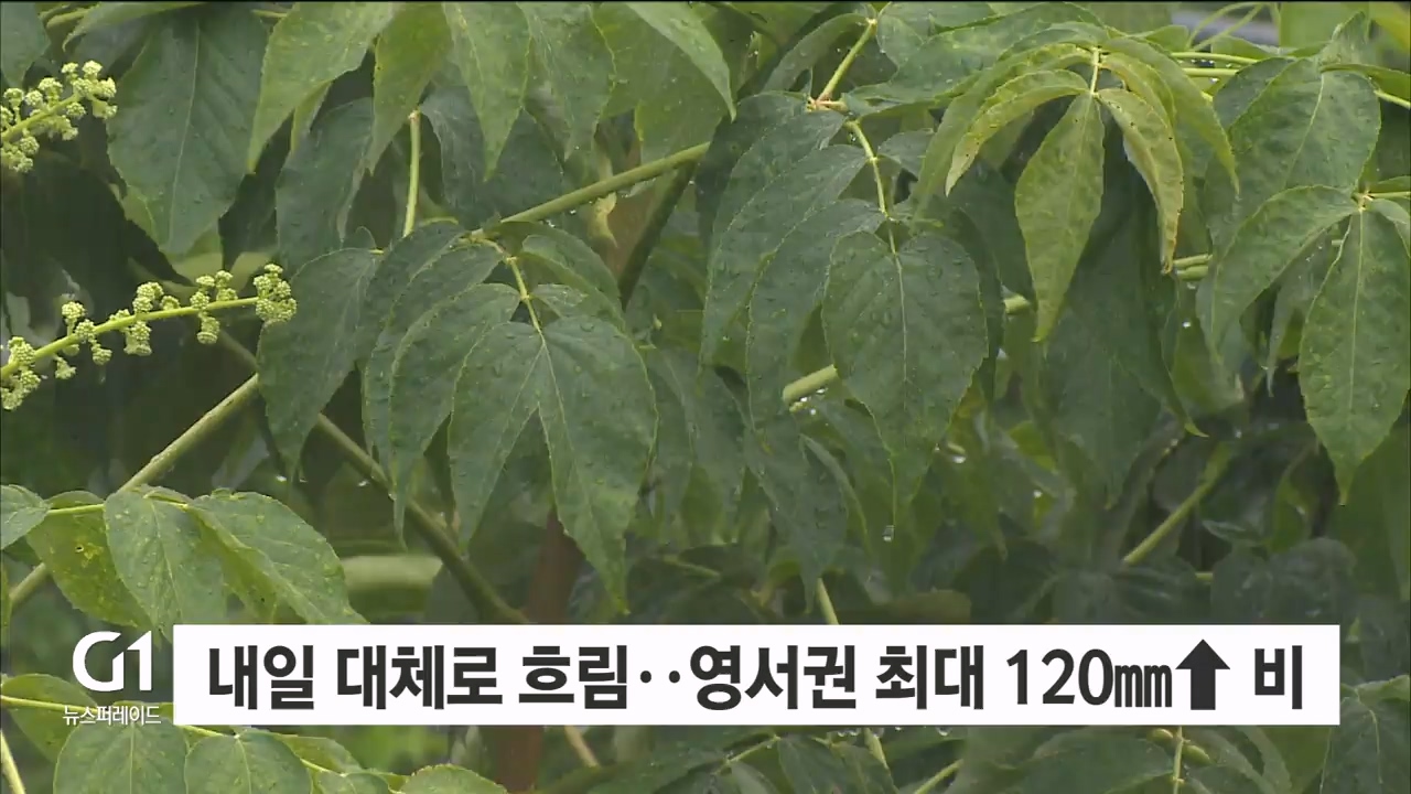 내일 대체로 흐려..영서권 최대 120mm↑ 비