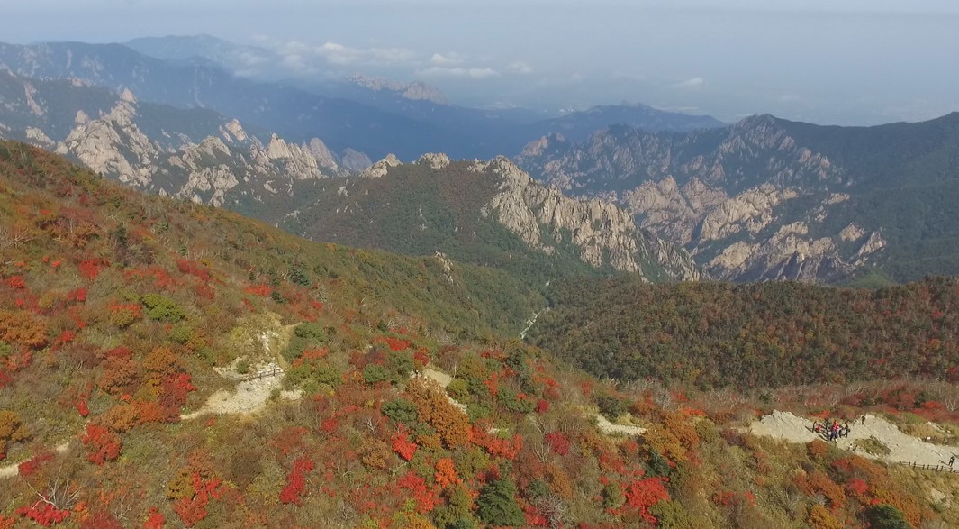 <강원의 경쟁력> ① “강원도 그렇게 안 멀어요”