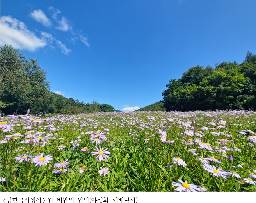 <숨겨진 강원> 생명의 정원 평창 ‘국립한국자생식물원’